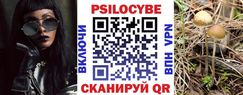 Псилоцибиновые грибы мицелий  blacksprut сайт  Петров Вал 